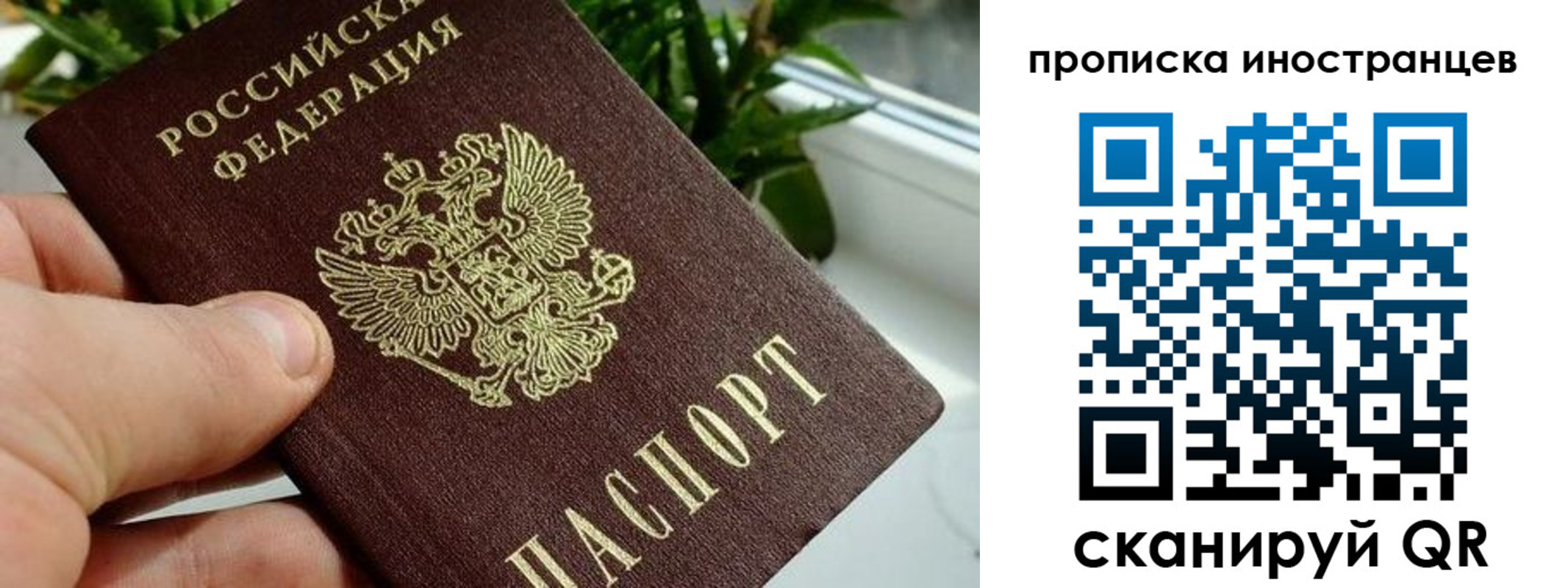 временная регистрация в Шебекино